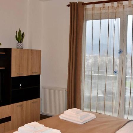 Pricop Residence Baia Mare Bagian luar foto