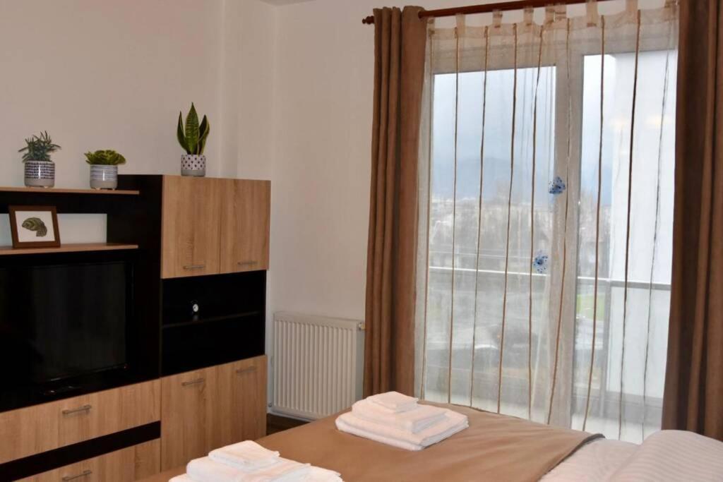 Pricop Residence Baia Mare Bagian luar foto