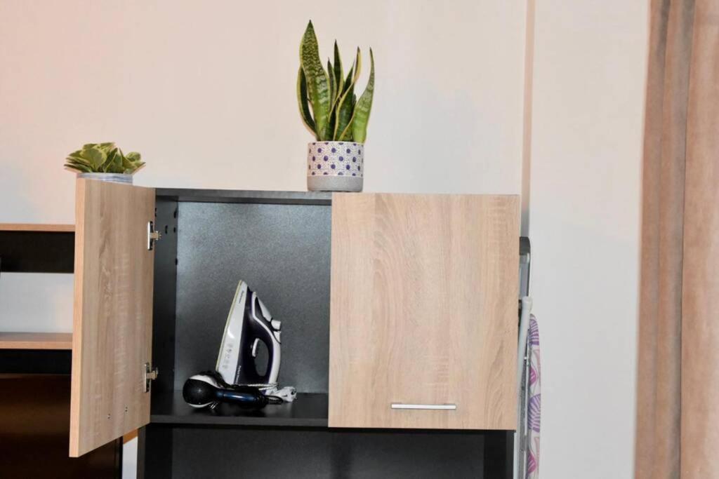 Pricop Residence Baia Mare Bagian luar foto