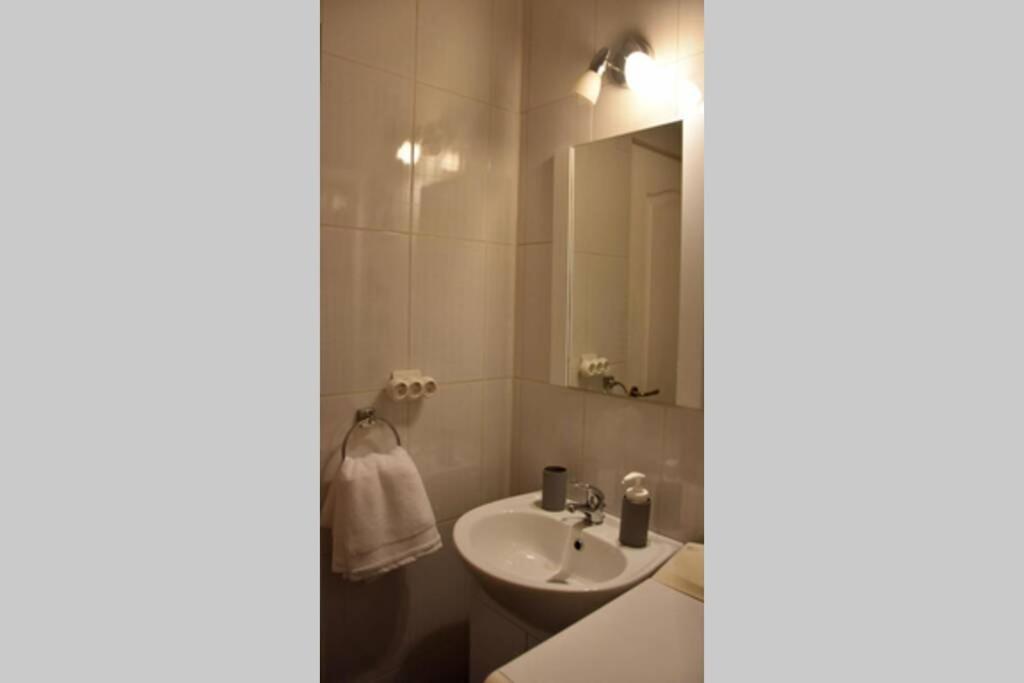 Pricop Residence Baia Mare Bagian luar foto