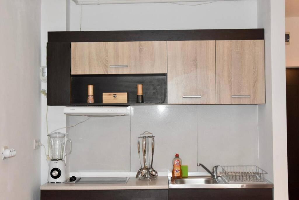 Pricop Residence Baia Mare Bagian luar foto