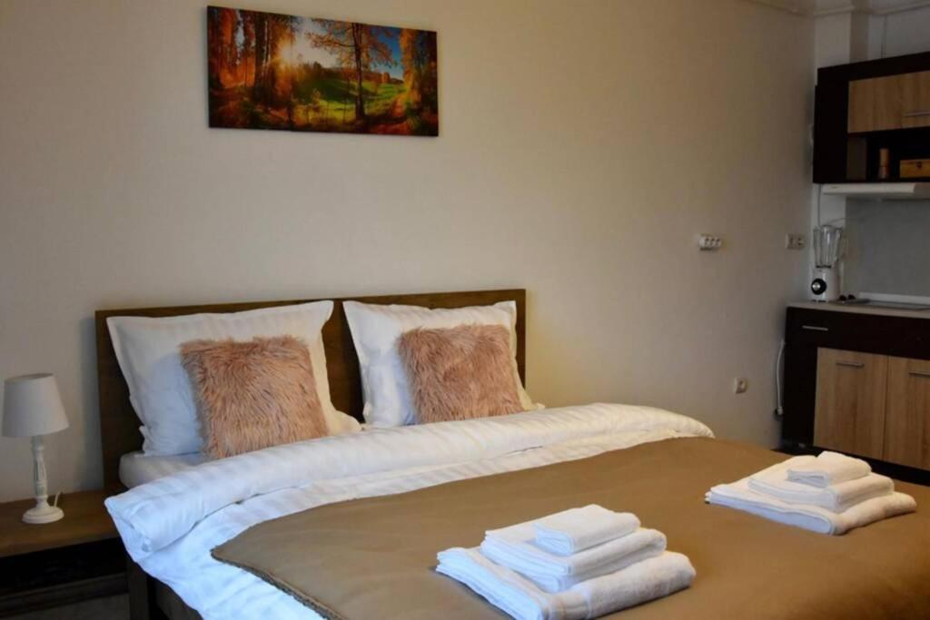Pricop Residence Baia Mare Bagian luar foto