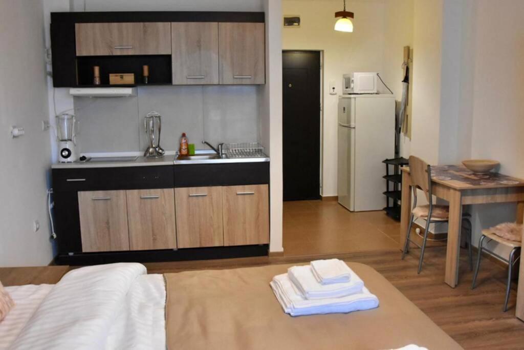 Pricop Residence Baia Mare Bagian luar foto