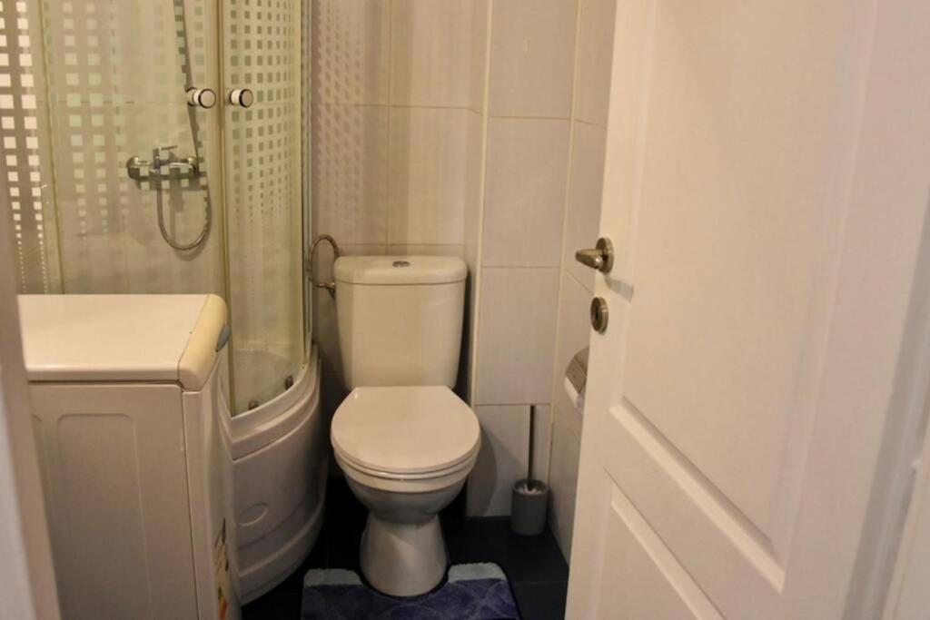 Pricop Residence Baia Mare Bagian luar foto